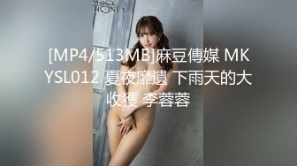 [MP4/513MB]麻豆傳媒 MKYSL012 夏夜靡遺 下雨天的大收獲 李蓉蓉