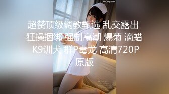 超赞顶级调教甄选 乱交露出 狂操捆绑 强制高潮 爆菊 滴蜡 K9训犬 群P毒龙 高清720P原版