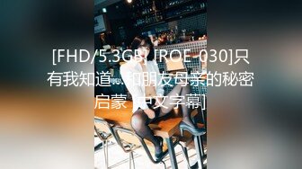 [FHD/5.3GB] [ROE-030]只有我知道…和朋友母亲的秘密启蒙 [中文字幕]