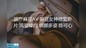 国产麻豆AV 麻豆女神微爱影片 风姿绰约 婀娜多姿 陈可心