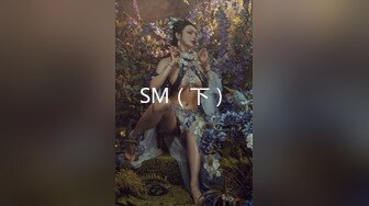 SM（下）