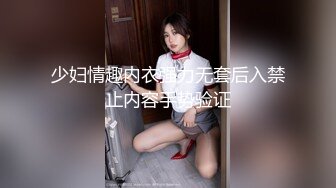 少妇情趣内衣强力无套后入禁止内容手势验证