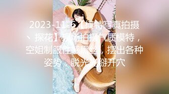 2023-11-6【模特写真拍摄丶探花】现场拍摄气质模特，空姐制服性感黑丝，摆出各种姿势，脱光光掰开穴