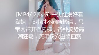 [MP4/ 2.44G] 一头红发好看御姐 ！3小时不间断操逼，吊带网袜开档内裤，各种姿势高潮狂喷，无毛粉穴白浆四溅