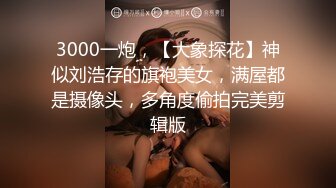 3000一炮，【大象探花】神似刘浩存的旗袍美女，满屋都是摄像头，多角度偷拍完美剪辑版