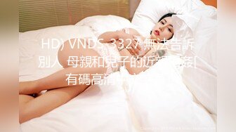 HD) VNDS-3327 無法告訴別人 母親和兒子的近親相姦[有碼高清中文字幕]