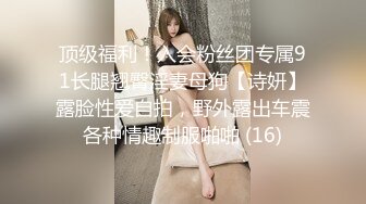 顶级福利！入会粉丝团专属91长腿翘臀淫妻母狗【诗妍】露脸性爱自拍，野外露出车震各种情趣制服啪啪 (16)